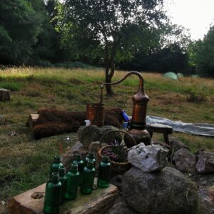 Mugwort Aromatic  Waters Distilled and Grown  in Graine Apothecary.