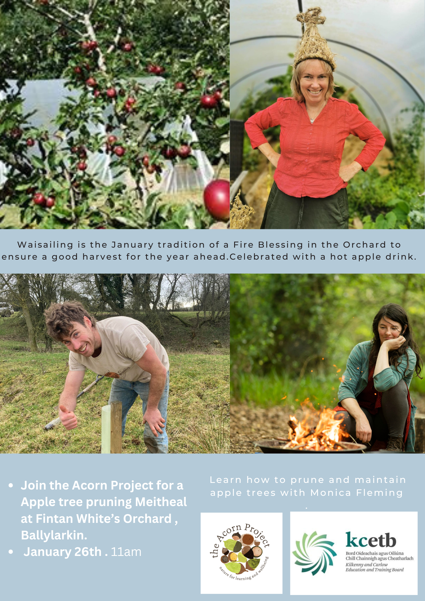 Apple Tree Pruning Meitheal at Fintan White’s Orchard , Ballylarkin, Freshford.