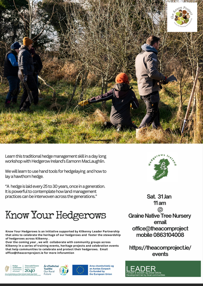 Hedgelaying Meitheal
